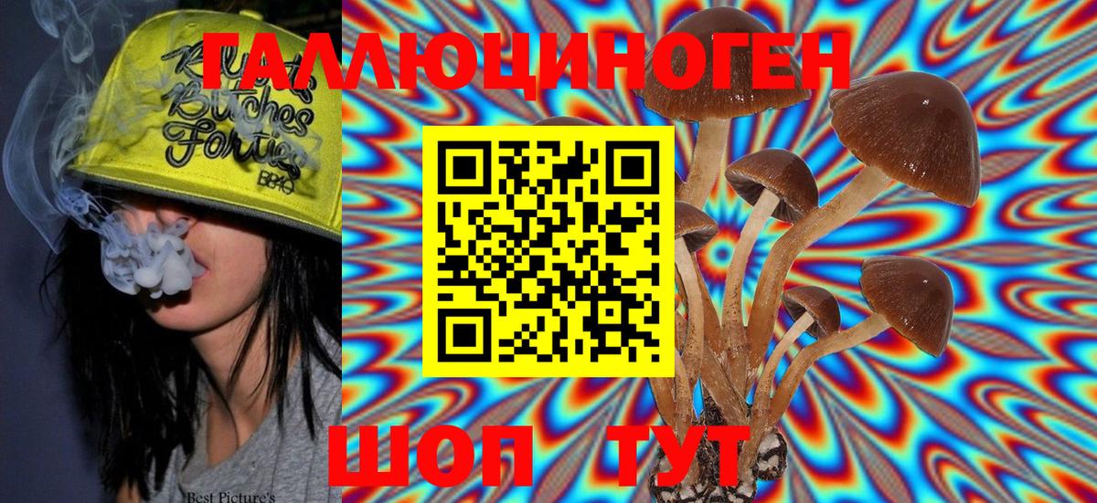 дарнет шоп  Вход с VPN  Менделеевск  Псилоцибиновые грибы MAGIC MUSHROOMS 